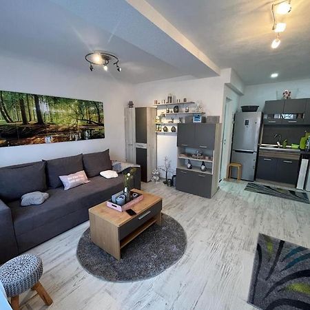 Apartament Acasa Sf.Gheorghe Sfântu-Gheorghe エクステリア 写真