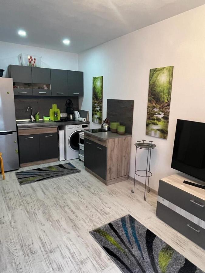 Apartament Acasa Sf.Gheorghe Sfântu-Gheorghe エクステリア 写真
