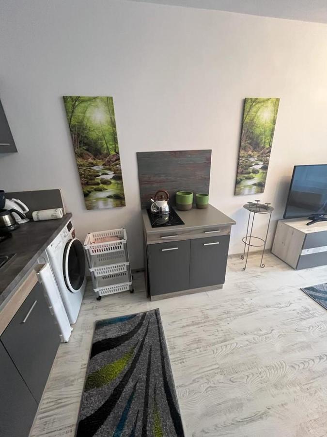 Apartament Acasa Sf.Gheorghe Sfântu-Gheorghe エクステリア 写真