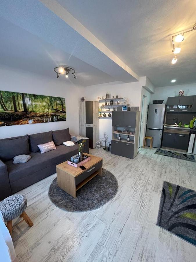Apartament Acasa Sf.Gheorghe Sfântu-Gheorghe エクステリア 写真